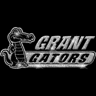 GLT102 SILVER GLITTER Thumbnail